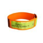 kaelarihm, signaalrihm Niggeloh XS (30-40cm) + pliiats